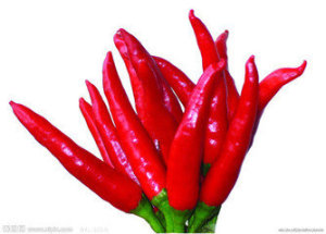 New Crop Fresh Export Vegetable Good Quality Red Chili